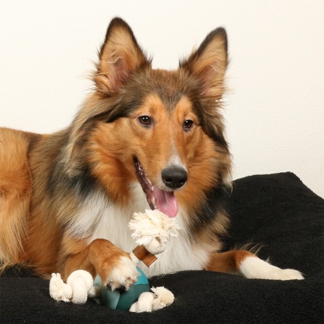 4047059479926_sc1_webl-1